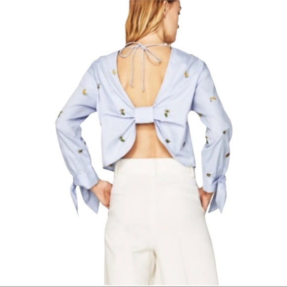 Zara Chambray Light Blue Open Back Embroidered Fruit Shirt Women’s Size Small - Picture 1 of 10